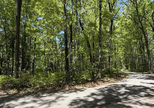 Photo 4 of Land for sale at Tbd W Lake George Dr, Lincoln Township Clare, MI 48632 | MLS# 79080069010 | Listing updated on 2026-06-12