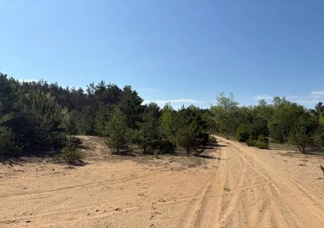 9th image of Parcel F 2 1/2 Rd, Buckley, MI 49620 | MLS# 78080069013