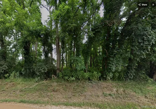 Photo 2 of Land for sale at 000 Wasson Rd, Gregory, MI 48137 | MLS# 20261039877 | Listing updated on 2026-06-01