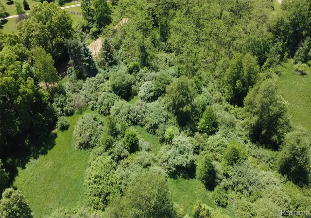 Photo 2 of Land for sale at 000 Wasson Rd, Gregory, MI 48137 | MLS# 20261039877 | Listing updated on 2026-06-01