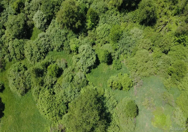 Photo 3 of Land for sale at 000 Wasson Rd, Gregory, MI 48137 | MLS# 20261039877 | Listing updated on 2026-06-01