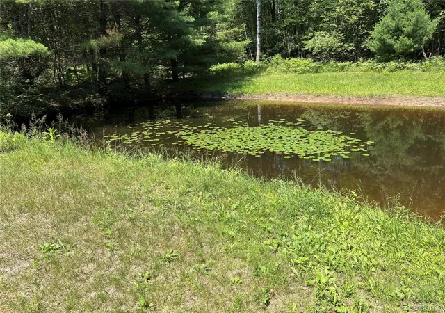 26th image of 1501 Michael Dr, Alger, MI 48610 | MLS# 20261039936