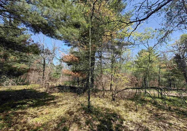 13th image of E Gladys Ln, Idlewild, MI 49642 | MLS# 78080069051