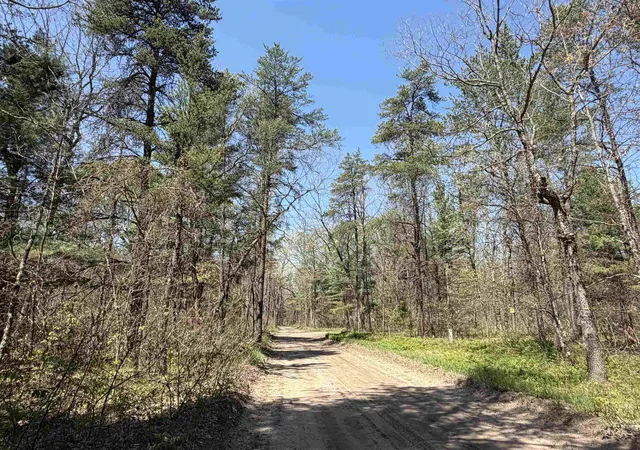 1st image of E Gladys Ln, Idlewild, MI 49642 | MLS# 78080069051