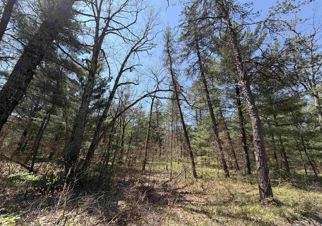 3rd image of E Gladys Ln, Idlewild, MI 49642 | MLS# 78080069051
