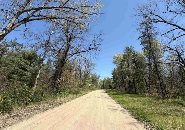 4th image of E Gladys Ln, Idlewild, MI 49642 | MLS# 78080069051