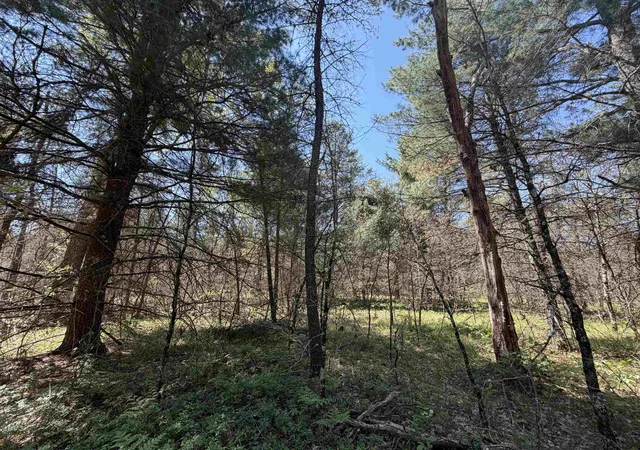 5th image of E Gladys Ln, Idlewild, MI 49642 | MLS# 78080069051