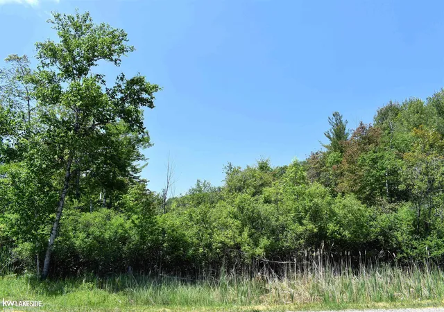 3rd image of 0 Oak Beach Rd, Port Austin, MI 48467 | MLS# 58050209684
