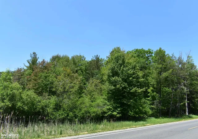 4th image of 0 Oak Beach Rd, Port Austin, MI 48467 | MLS# 58050209684