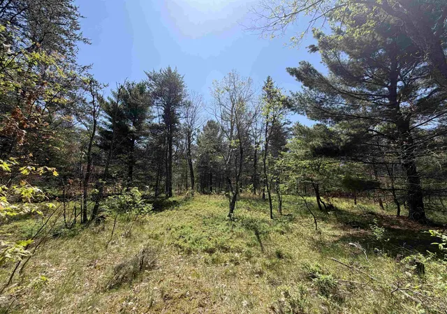 1st image of Us 10, Cherry Valley Township Lake, MI 49642 | MLS# 78080069063