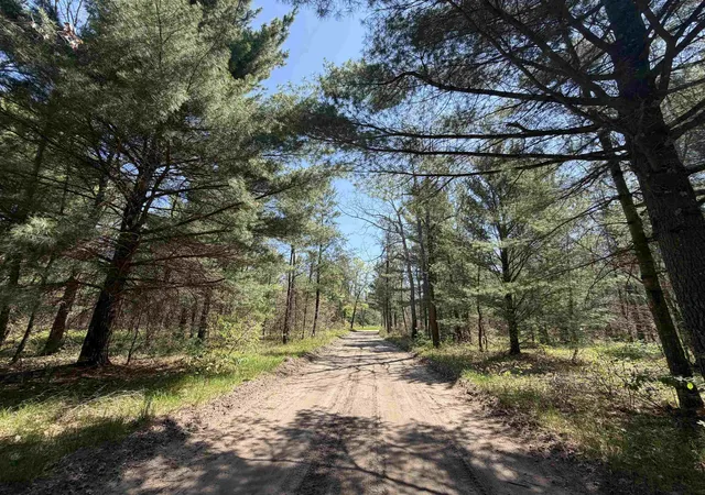 4th image of Us-10, Cherry Valley Township Lake, MI 49642 | MLS# 78080069063