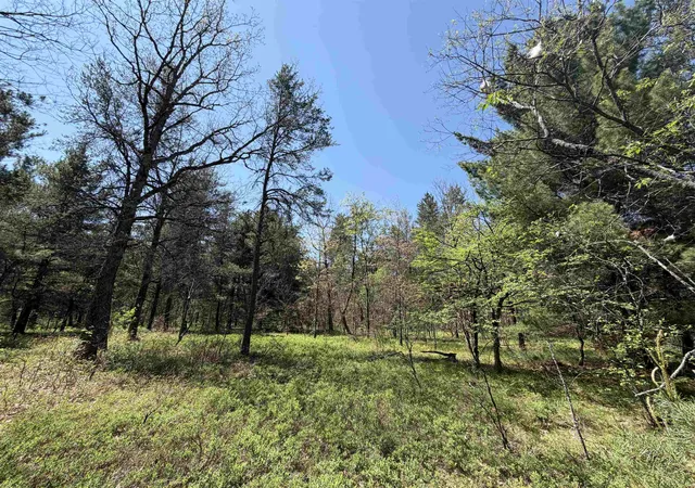 5th image of Us-10, Cherry Valley Township Lake, MI 49642 | MLS# 78080069063