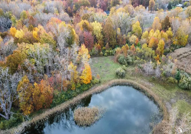 Photo 1 of Land for sale at 3886 Douglas Rd, Ida, MI 48140 | MLS# 57050209739 | Listing updated on 2026-06-03
