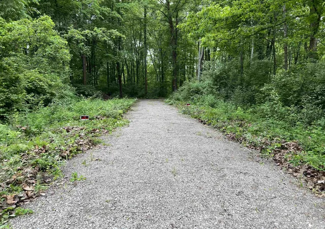 Photo 3 of Land for sale at 3886 Douglas Rd, Ida, MI 48140 | MLS# 57050209739 | Listing updated on 2026-06-03