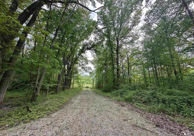 Photo 4 of Land for sale at 3886 Douglas Rd, Ida, MI 48140 | MLS# 57050209739 | Listing updated on 2026-06-03