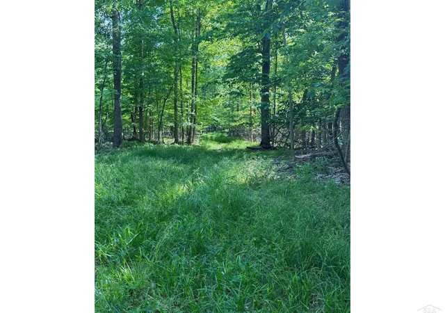 2nd image of 0 Lange Rd, Bridgeport, MI 48722 | MLS# 61050209766