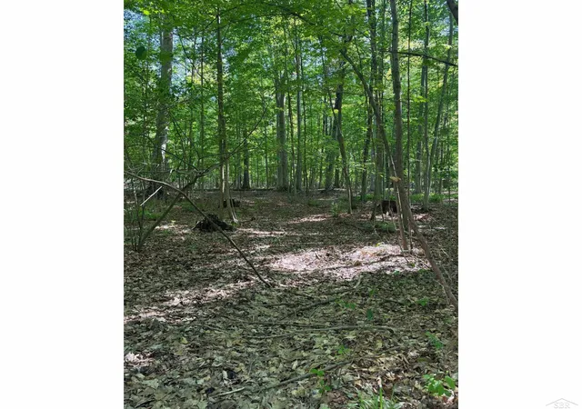 Photo 3 of Land for sale at 0 Lange Rd, Bridgeport, MI 48722 | MLS# 61050209766 | Listing updated on 2026-06-15