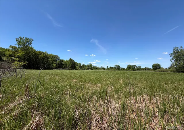 Photo 1 of Land for sale at 00 Dudley, Brown City, MI 48416 | MLS# 20261040285 | Listing updated on 2026-08-27