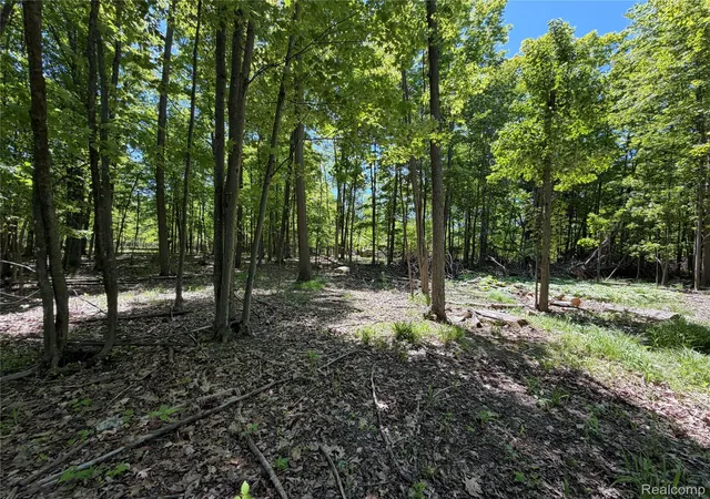 Photo 3 of Land for sale at 00 Dudley, Brown City, MI 48416 | MLS# 20261040285 | Listing updated on 2026-08-27