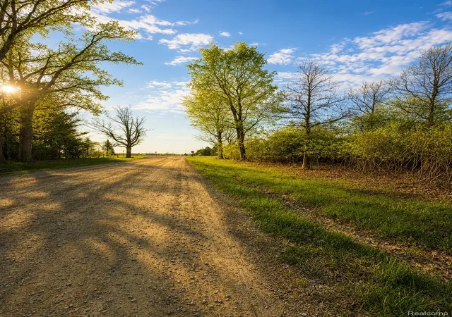 Photo 3 of Land for sale at 00 Dudley, Brown City, MI 48416 | MLS# 20261040285 | Listing updated on 2026-08-27