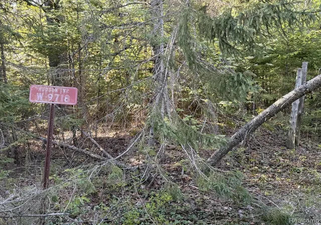 5th image of 9718 W Black River Rd, Naubinway, MI 49762 | MLS# 20261040330