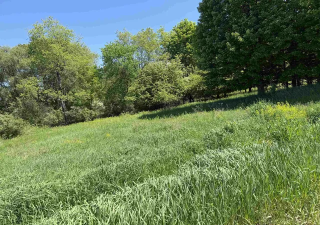 2nd image of 1 Shanty Creek Rd, Bellaire, MI 49615 | MLS# 78080069110