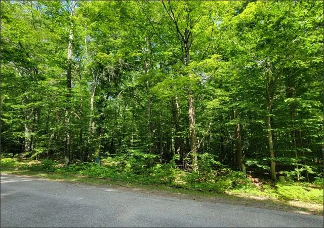 Photo 3 of Land for sale at 29 Undervalden Dr, Bellaire, MI 49615 | MLS# 78080069125 | Listing updated on 2026-08-31