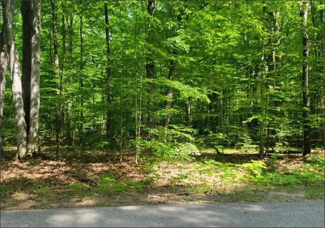Photo 3 of Land for sale at 29 Undervalden Dr, Bellaire, MI 49615 | MLS# 78080069125 | Listing updated on 2026-08-31
