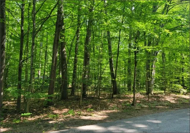Photo 4 of Land for sale at 29 Undervalden Dr, Bellaire, MI 49615 | MLS# 78080069125 | Listing updated on 2026-08-31