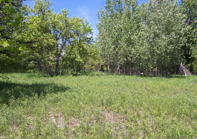 Homes for sale in Kimball Township St Clair, MI | Lot 2 Lapeer Rd Rd, Kimball Township St Clair, MI 48074 | MLS# 58050209876