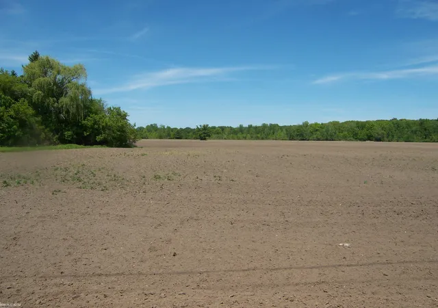 Homes for sale in Kimball Township St Clair, MI | Lot 3 Lapeer Rd Rd, Kimball Township St Clair, MI 48074 | MLS# 58050209878