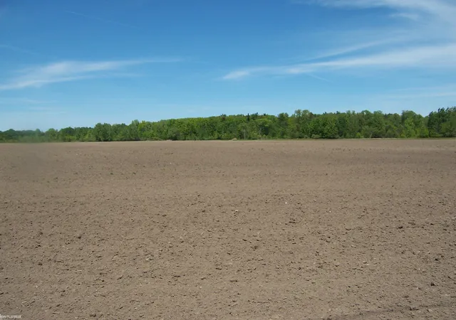 Homes for sale in Kimball Township St Clair, MI | Lot 6 Lapeer Rd Rd, Kimball Township St Clair, MI 48074 | MLS# 58050209890