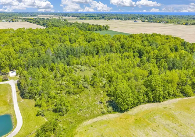 Photo 4 of Land for sale at 0000 Wellman Line Rd, Worth Township Sanilac, MI 48422 | MLS# 58050209964 | Listing updated on 2026-06-15