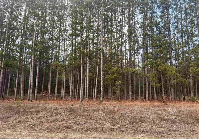 Photo 4 of Land for sale at 2214 E 56th Street, Chase, MI 49623 | MLS# 78080069167 | Listing updated on 2026-06-22