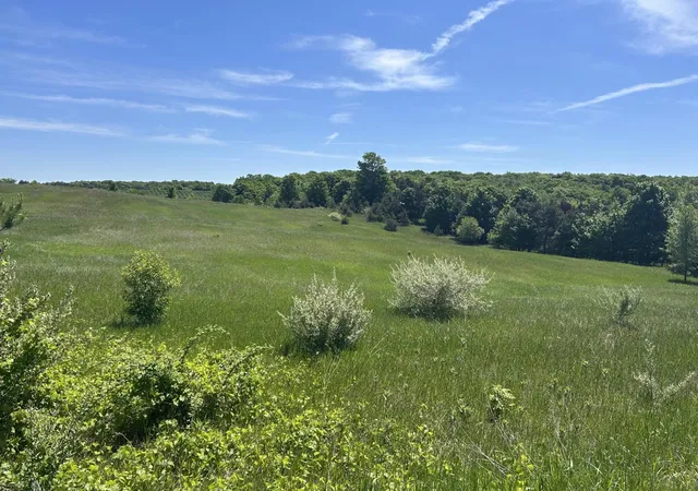 1st image of 00 Maple Valley Rd, Suttons Bay, MI 49682 | MLS# 78080069168