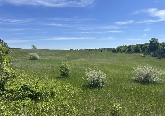 Photo 4 of Land for sale at 00 Maple Valley Rd, Suttons Bay, MI 49682 | MLS# 78080069168 | Listing updated on 2026-06-06