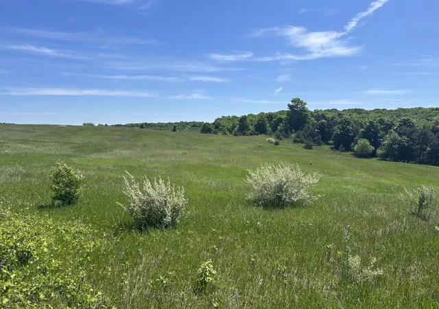 Photo 5 of Land for sale at 00 Maple Valley Rd, Suttons Bay, MI 49682 | MLS# 78080069168 | Listing updated on 2026-06-06