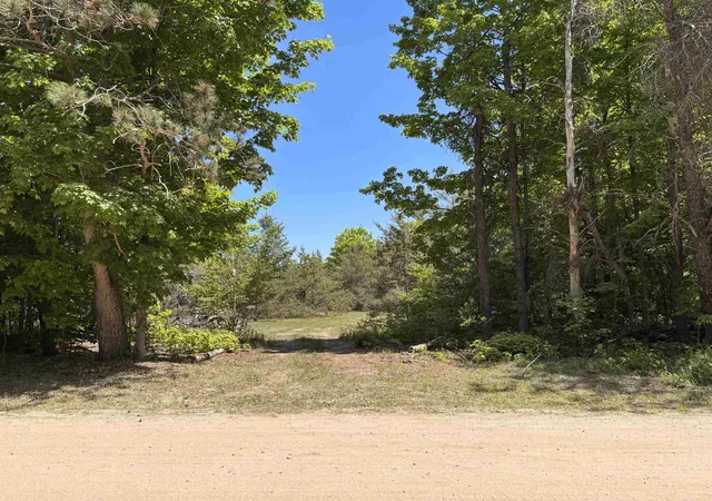 Photo 1 of Land for sale at 99 Pine Tree Ln, Beulah, MI 49617 | MLS# 78080069178 | Listing updated on 2026-06-09