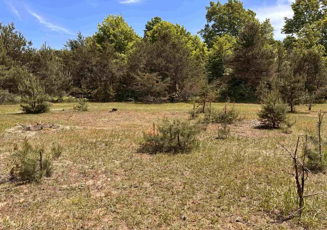 Photo 3 of Land for sale at 99 Pine Tree Ln, Beulah, MI 49617 | MLS# 78080069178 | Listing updated on 2026-06-09