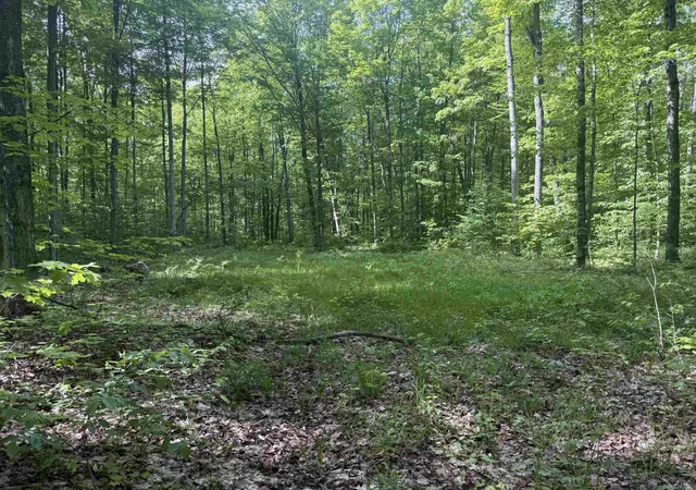 3rd image of 0000 Starvation Lake Rd, Coldsprings Township Kalkaska, MI 49569 | MLS# 78080069187