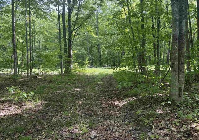 4th image of 0000 Starvation Lake Rd, Coldsprings Township Kalkaska, MI 49569 | MLS# 78080069187