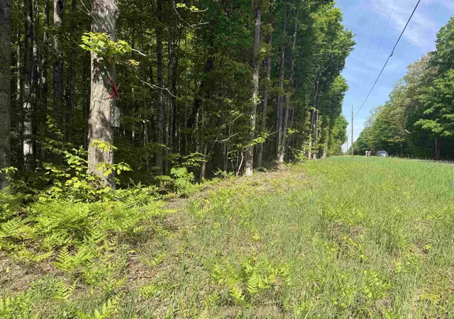 5th image of 0000 Starvation Lake Rd, Coldsprings Township Kalkaska, MI 49569 | MLS# 78080069187