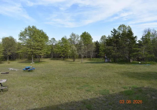 5th image of 11565 Leline Rd, Roscommon, MI 48653 | MLS# 77080069192