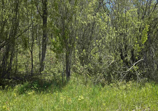 1st image of 00 Vl Mill St, Mckinley Township Emmet, MI 49755 | MLS# 78080069197