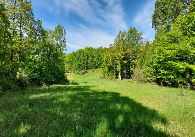 2nd image of C N Crossover Dr, Kearney Township Antrim, MI 49615 | MLS# 78080069205