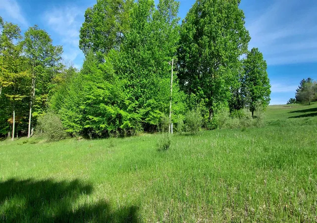 3rd image of C N Crossover Dr, Kearney Township Antrim, MI 49615 | MLS# 78080069205