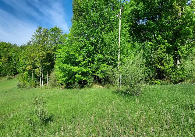 4th image of C N Crossover Dr, Kearney Township Antrim, MI 49615 | MLS# 78080069205