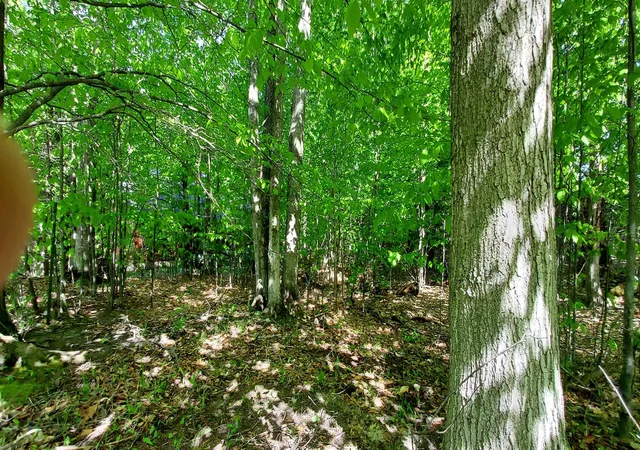 5th image of C N Crossover Dr, Kearney Township Antrim, MI 49615 | MLS# 78080069205