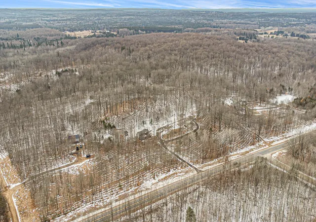 image of 8851 E 8 Mile Rd, Luther, MI 49656 | MLS# 69026027136
