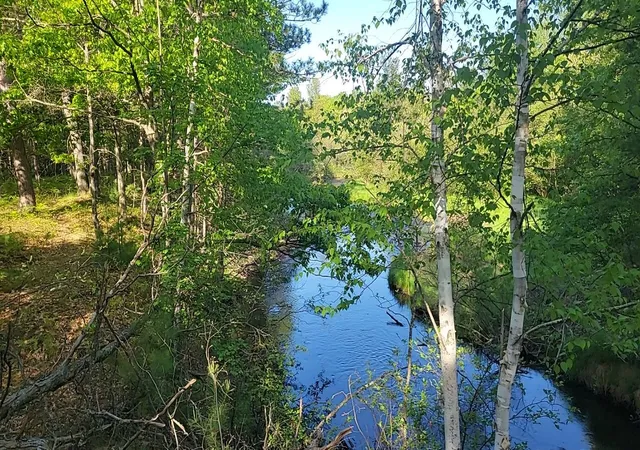 6th image of 0 Sumac Trl, Grayling, MI 49738 | MLS# 78080069246